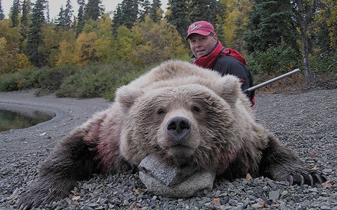 Fall Brown Bear