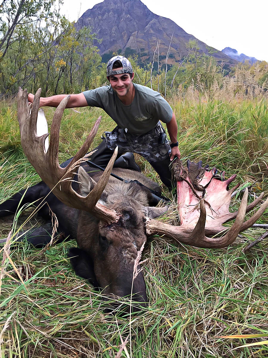 Combo Moose & Brown Bear: $38,500.00