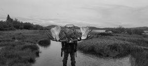 moose hunting trip in alaska